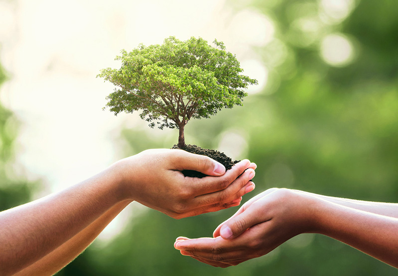 凯时|AG(AsiaGaming)承诺